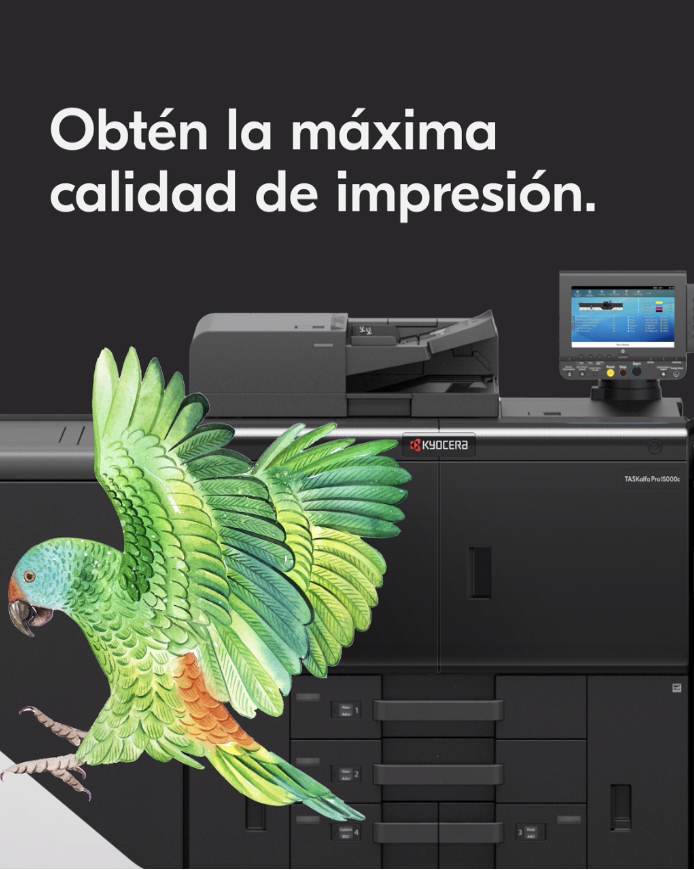 VISIONDIGITAL3's tweet image. Olvídate de resultados con calidad pobre con la tecnología de Kyocera. ✨
La TASKalfa Pro 15000c te ofrece resultados con una resolución excepcional para que cada trabajo de impresión sea una obra de arte.
goo.su/y8nF ⬅⬅⬅

#kyocera #digitalsolutions #digitalprint #