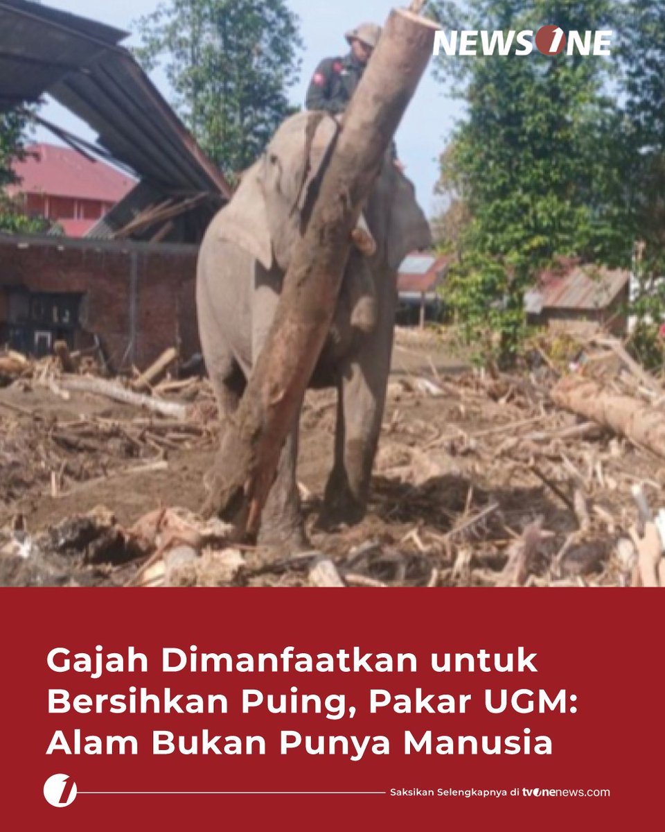 tvOneNews's tweet photo. Pemanfaatan gajah untuk bersihkan puing banjir bandang di Aceh mendapat kritikan keras dari Guru Besar Fakultas Kedokteran Hewan UGM, Prof Dr drh Raden Wisnu Nurcahyo.
Selengkapnya di https://t.co/U52DPd5lLb
#HardNews_Bencana #NewsOne #CariBeritaditvOne #BanjirSumatra #PakarUGM https://t.co/O8uryCH1zG