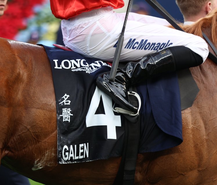 Post by Minus on X: 「カレン」チャン