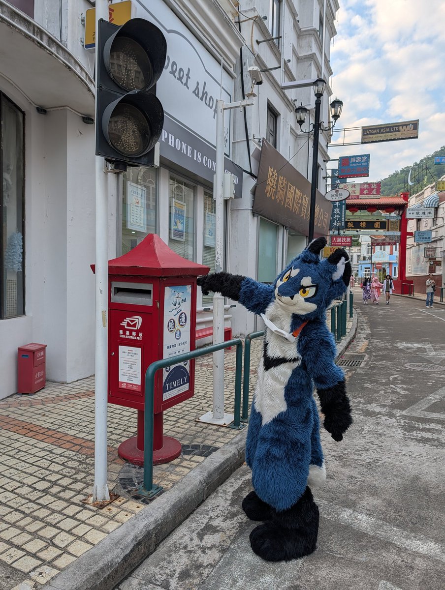投件～～
#fursuit  #furry