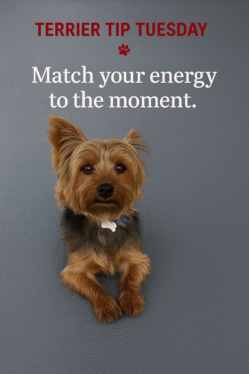 coachronmpm's tweet image. Terrier Tip Tuesday 🐾

Not every moment requires max intensity.

Learn to match your energy to the moment.
That’s a performance skill.

 #TerrierTipTuesday #WinningStartsWithin #CoachRonMPM #AthleteMindset #MentalPerformance #SportsPsychologyTips #ConsistencyCounts