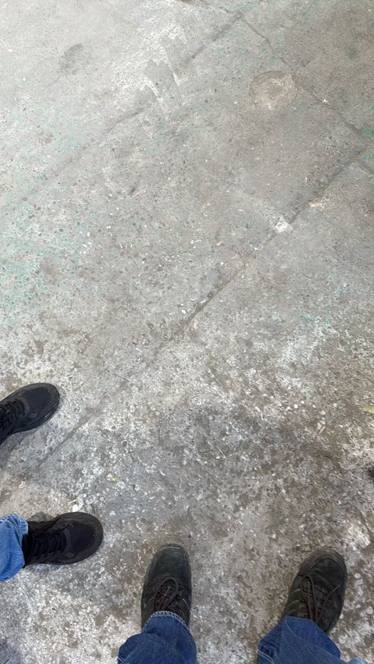 beckielou1983's tweet photo. @evrisupportline please can you tell me when my parcel will be delivered? I have escalated more than 24hrs ago and no response. If it's lost I need to reorder! P.S this is apparently a pic of attempted delivery by your driver. Not happy. https://t.co/24kHkQbA7W