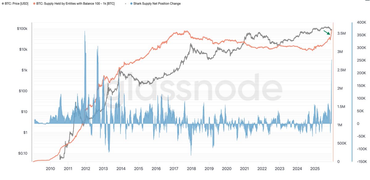 No veo a mucha gente hablando de esta ACUMULACIÓN TREMENDA de Bitcoin en esta zona en las últimas semanas