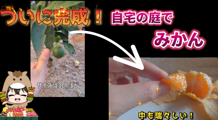 まっく tweet media