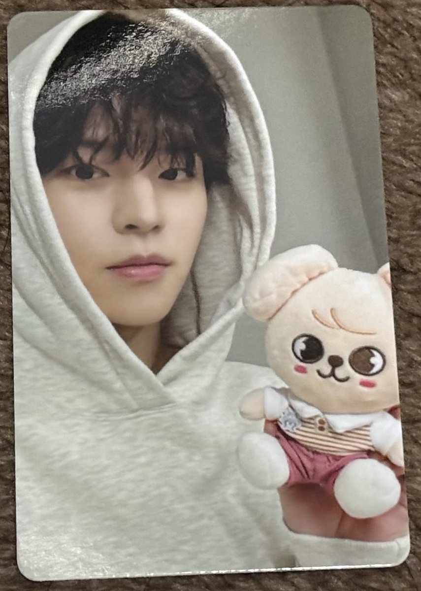 Stray Kids スキズ交換 Zootopia skzoo ズートピア特典トレカ 【譲