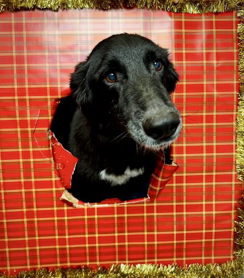 Amanda Curran ☼ tweet media