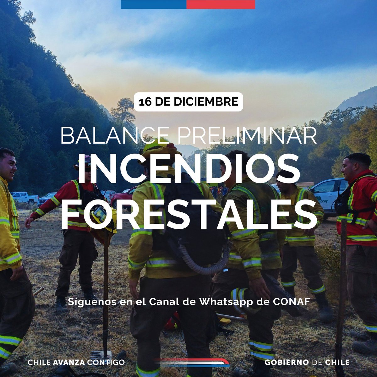 🔴#BALANCE | Hasta las 11:00 horas | La situación de los principales incendios forestales que se combaten al momento, en el país, es el siguiente: 

▶️Región de O'Higgins. Incendio Panilonco, en Pichilemu: con 287 hectáreas afectadas.
📌Trabajan en el lugar: 6 técnicos, 5