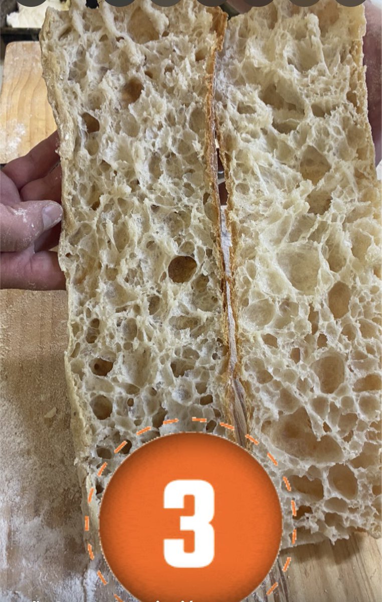 hornodejulia tweet media