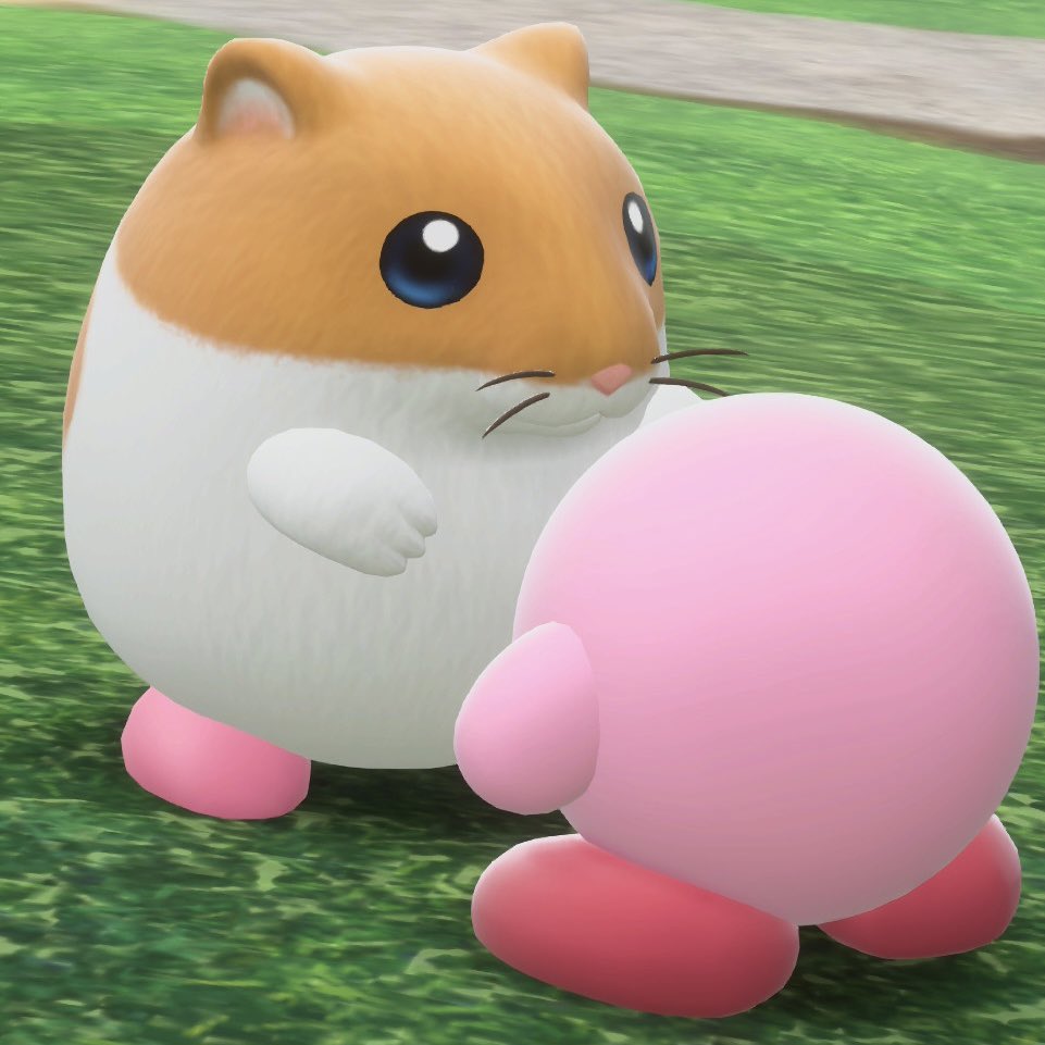 カービィちゃんの視界