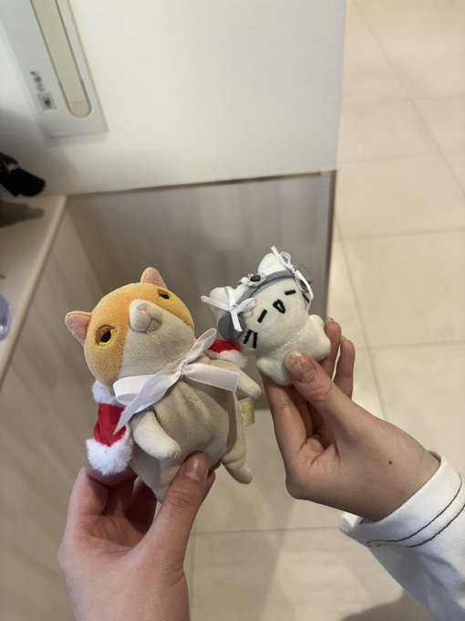 キャンスリのツイート