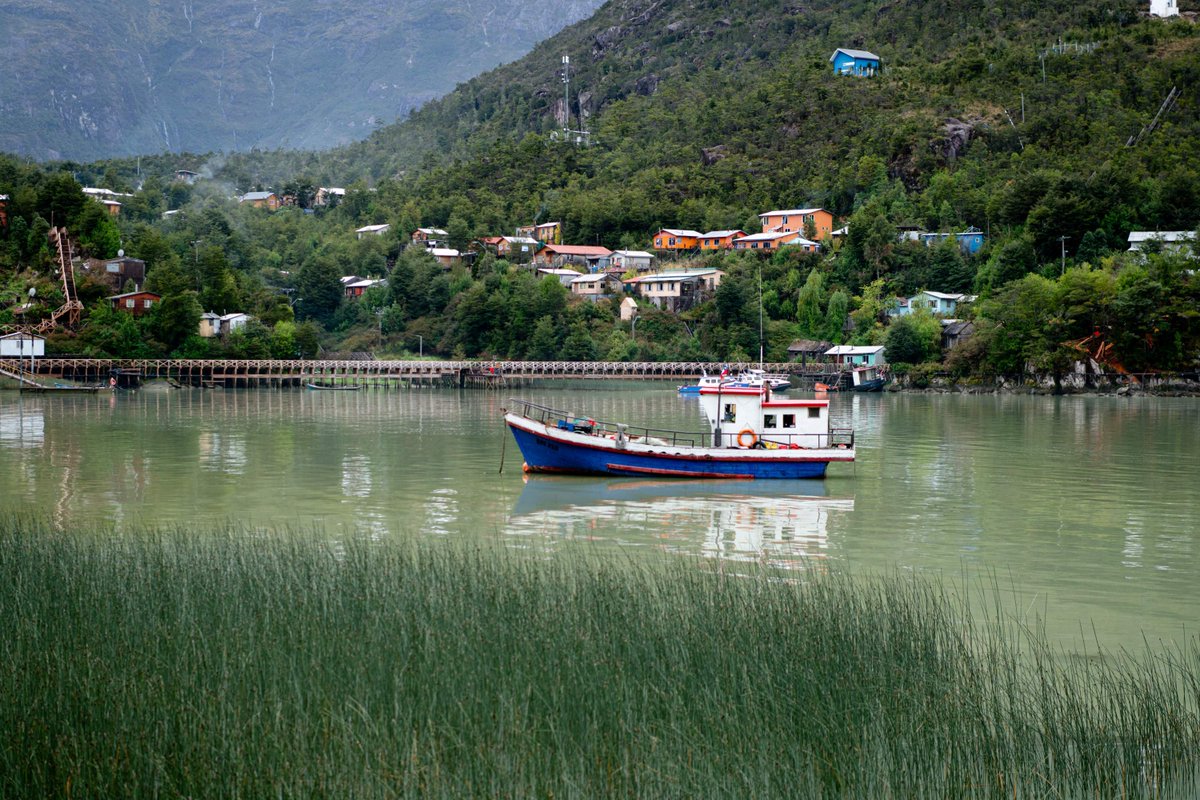 Swan Hellenic tweet media