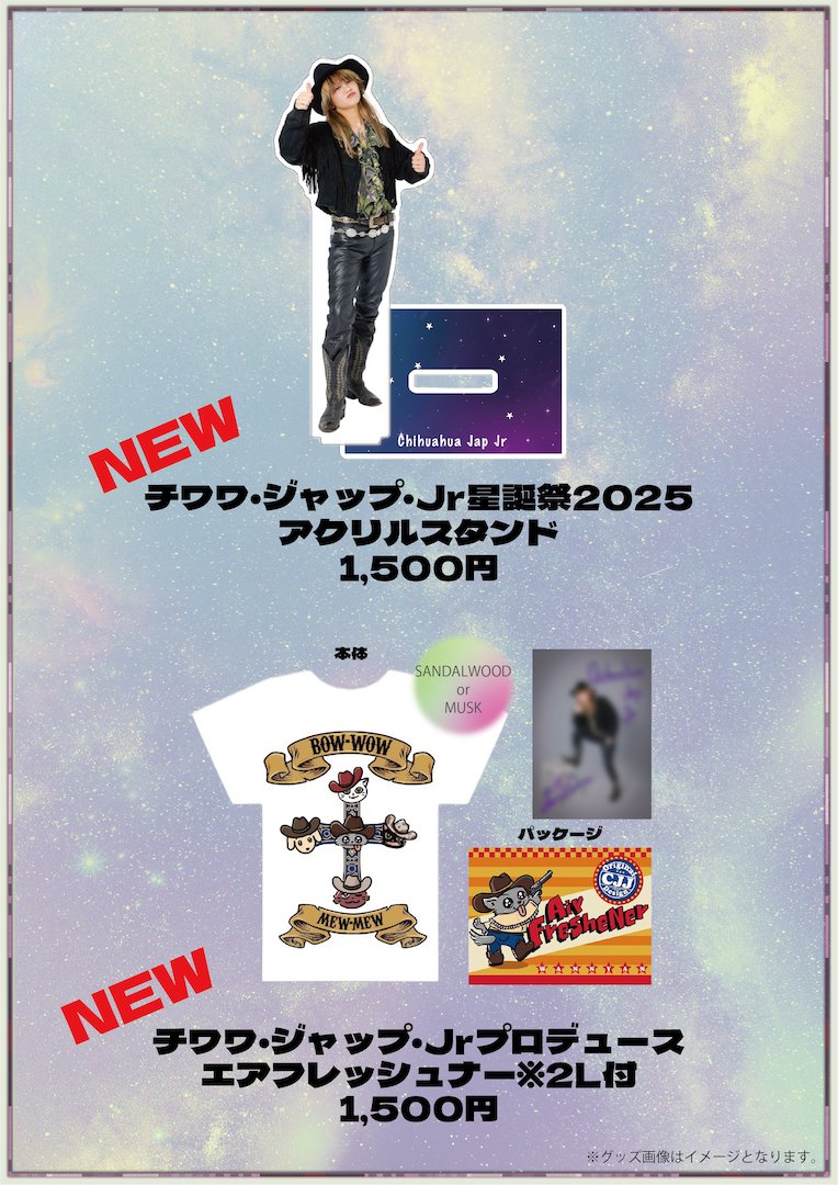 🐶本日のわんにゃん🐱ˎˊ˗ チワワ・ジャップ・Jr星誕祭2025 📍新宿