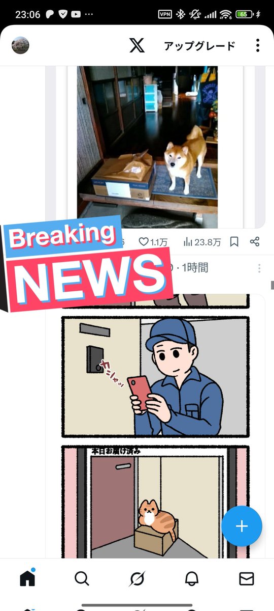 ワンコとにゃんこの違いはあれどタイムラインが面白い並びになった。