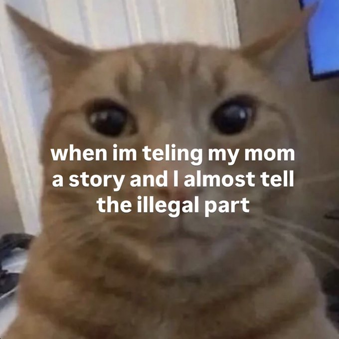 RealestMemes_'s tweet photo. https://t.co/uXgpwvdmqL