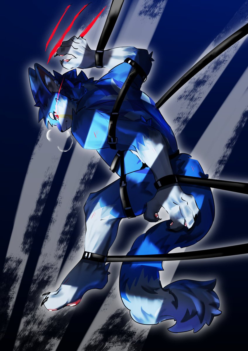 Constraints

🎨：小云云