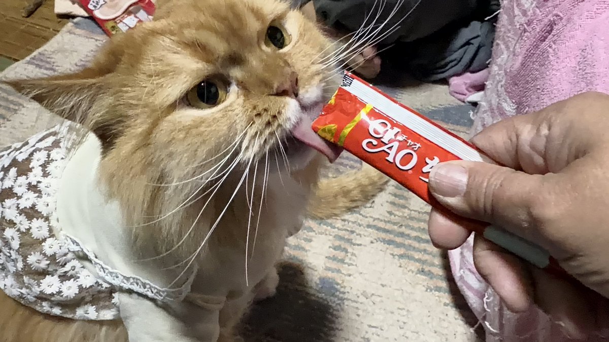 JUNJUN (@junjun1020) / Posts / X