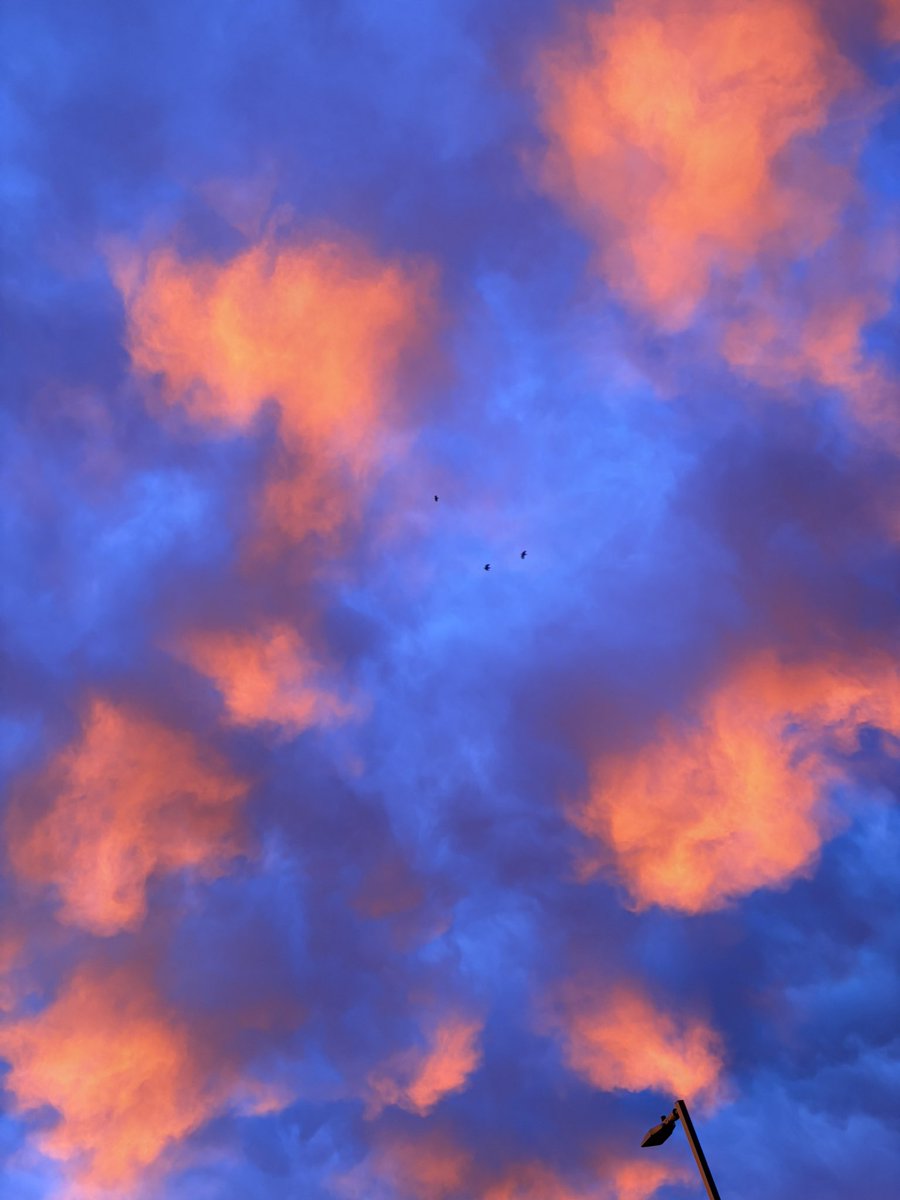 Sarahh ᥫ᭡ tweet media