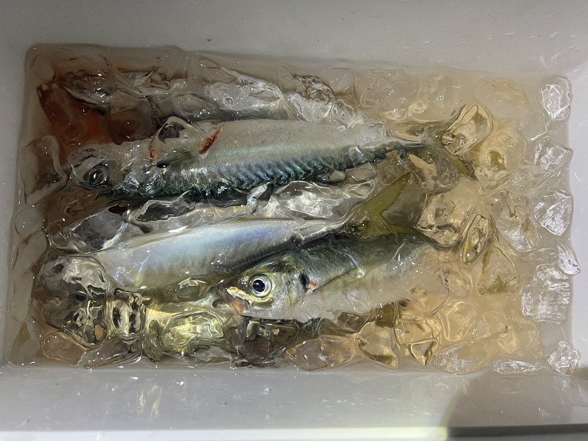 田舎のもの 田舎の者moーchan - YouTube