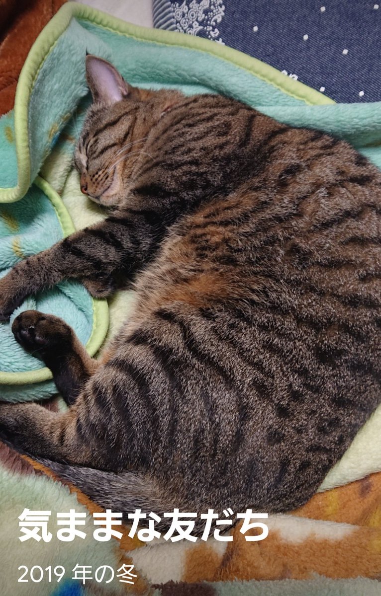 みぃ様のサブアカ (@miisamasub) / Posts / X