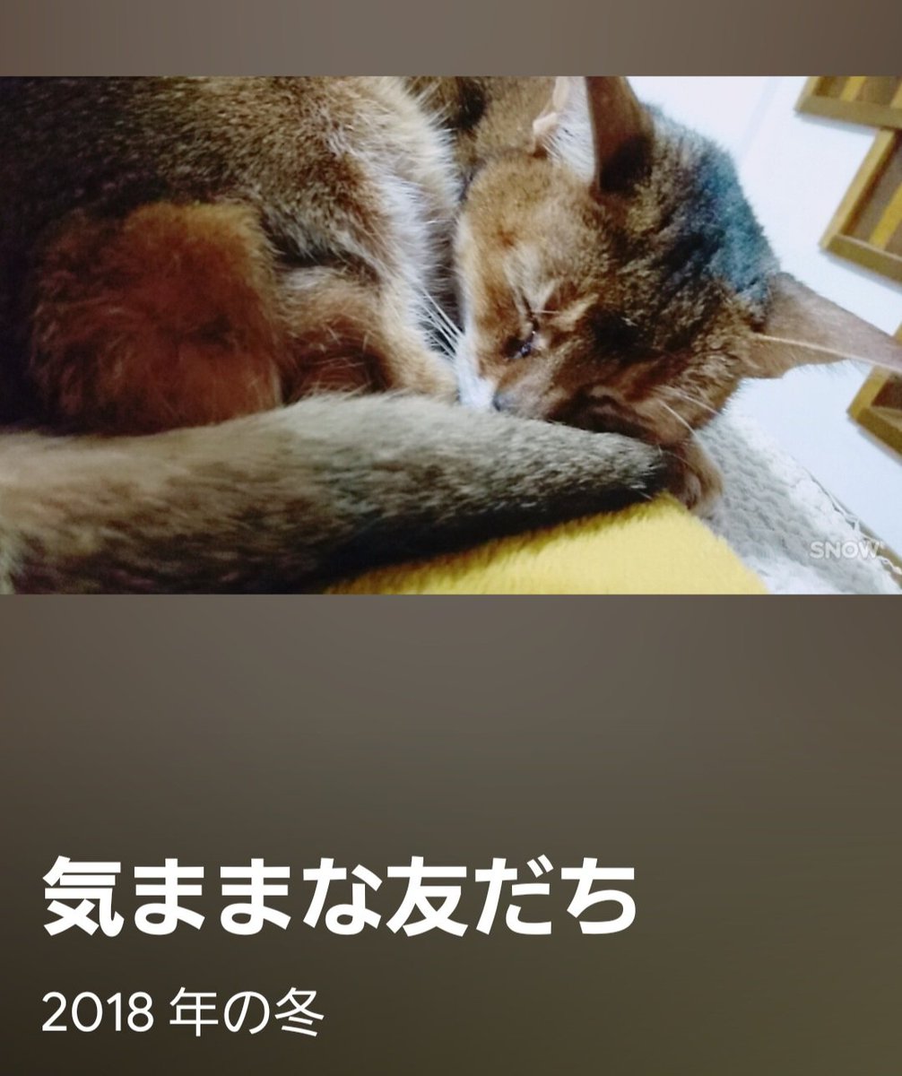 みぃ様のサブアカ (@miisamasub) / Posts / X