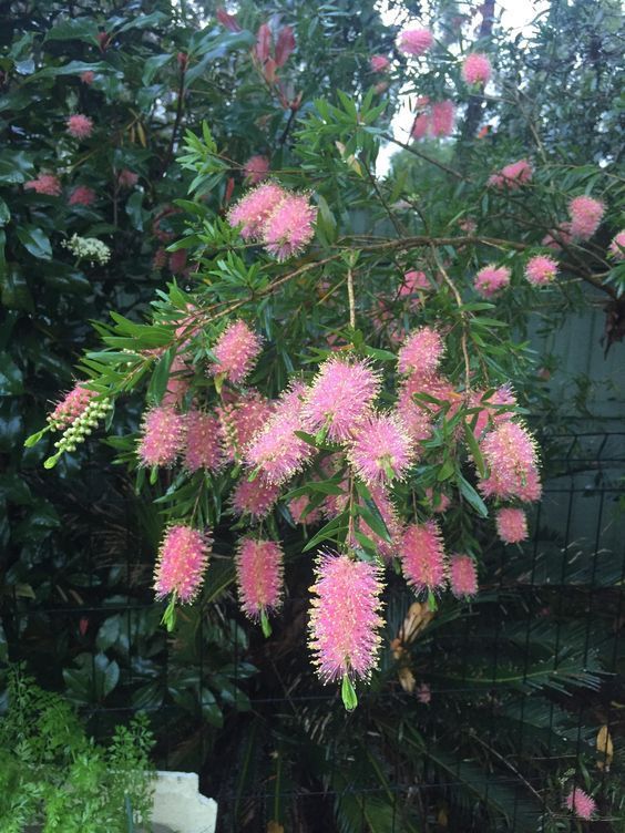 Samimiyetten uzaklaşmamak için, Allah’ın varlığının delilleri ısrarla unutmamak, çok tekrar yapmak gerekir. Allah “Beni çok zikredin” diyor. Çokça zikir bir kelimeyi sürekli tekrar etmek değildir. Allah’ın varlığını, varlığının delillerini şuurlu olarak, aklından geçirmektir.