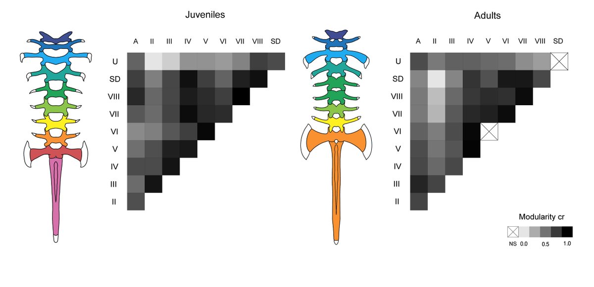 Maria Laura Ponssa tweet media