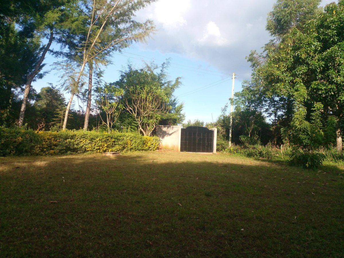 Mike Anzigale. tweet media