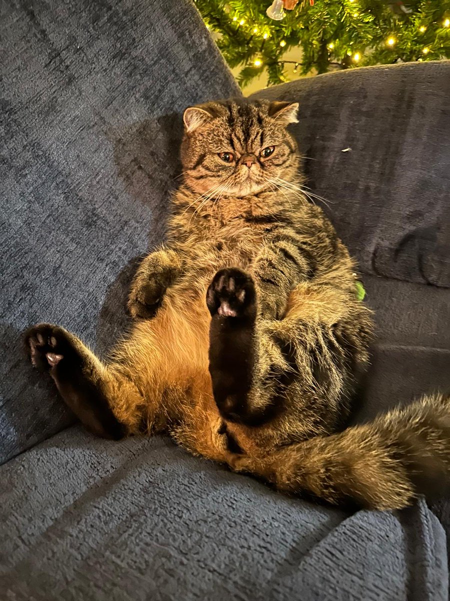 Arthur Huizinga tweet media