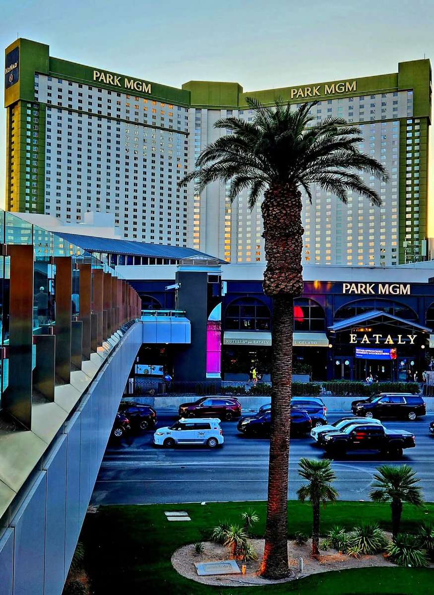 Sin City Las Vegas tweet media