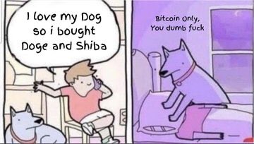 The Satoshi Archive tweet media