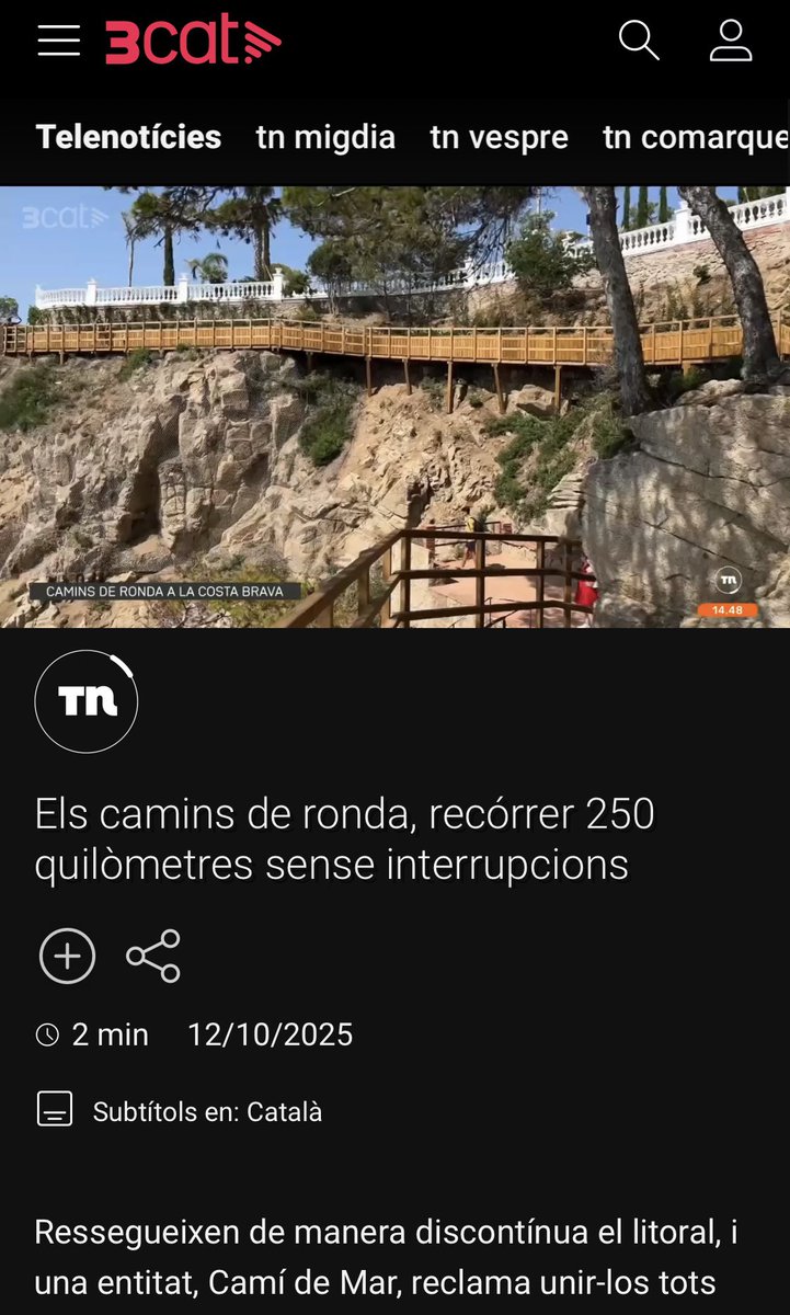 Carles Mestre tweet media