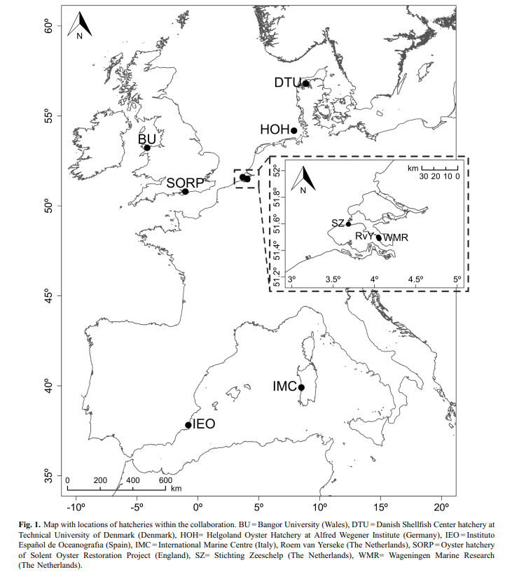 IEO Vigo tweet media