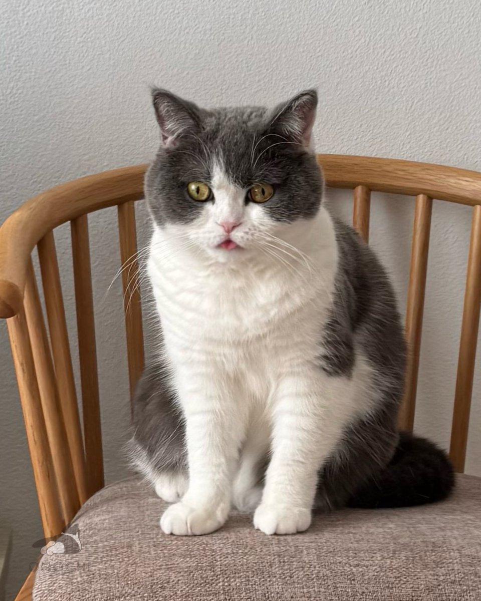 Omochi♡様確認ページ Post by おもち on X: 😛