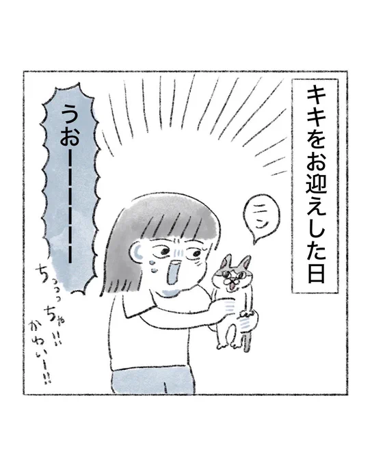 【猫漫画】

猫ノミ① 