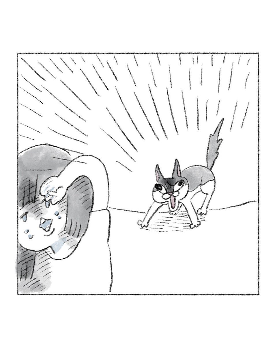 【猫漫画】

猫ノミ① 