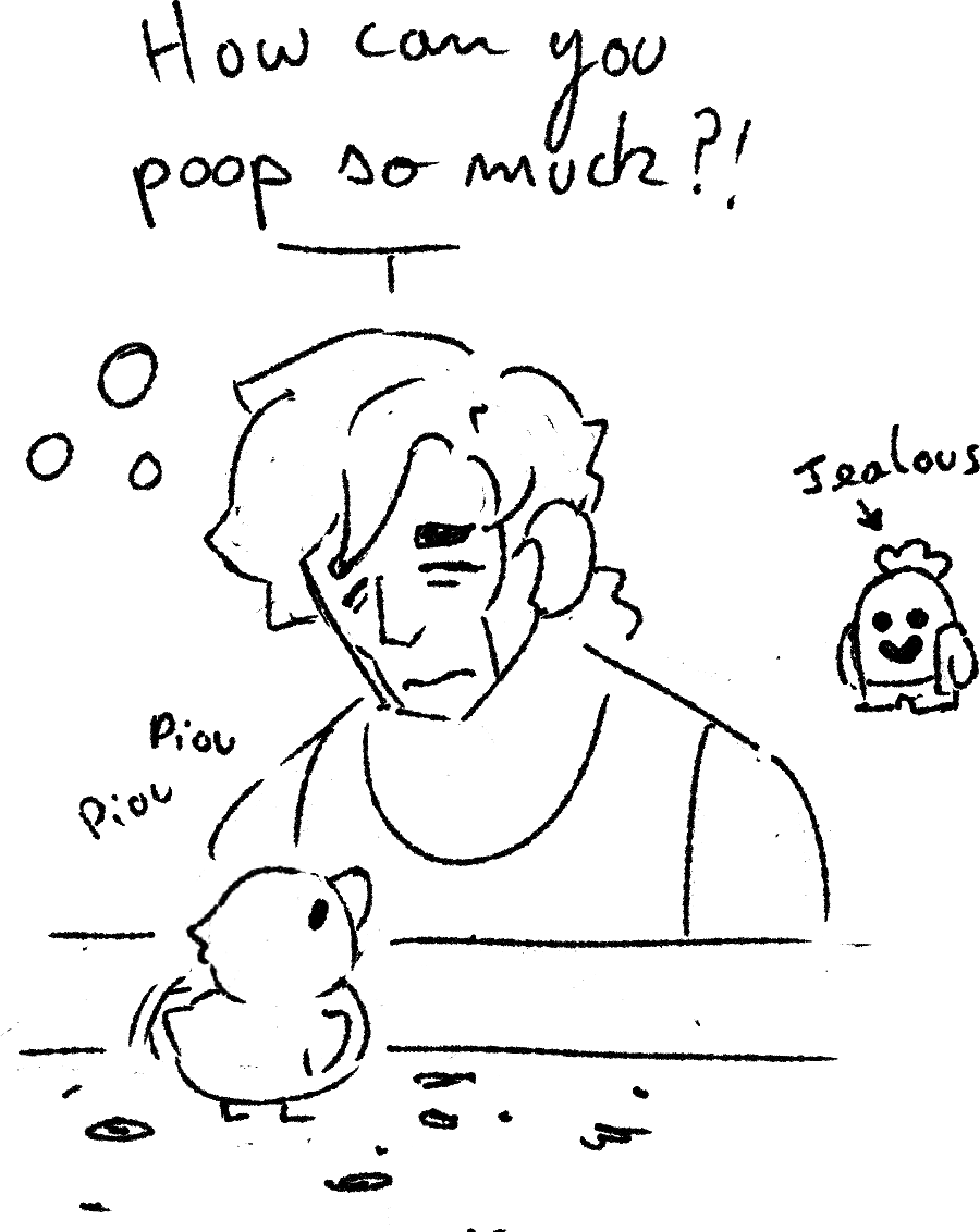 ducklings are so cute omggggg