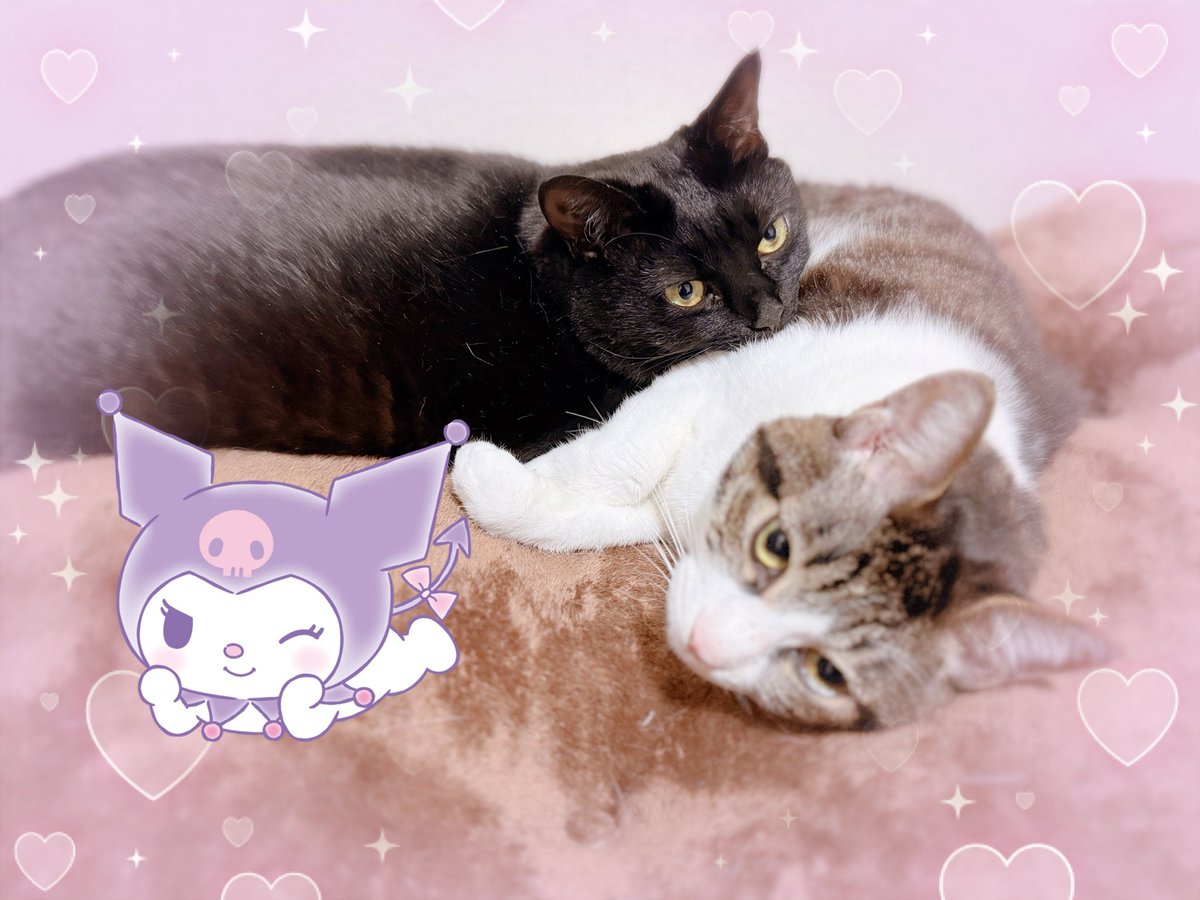 あちゅ❦😈ིྀ🎀ིྀ (@achu_66) / Posts / X