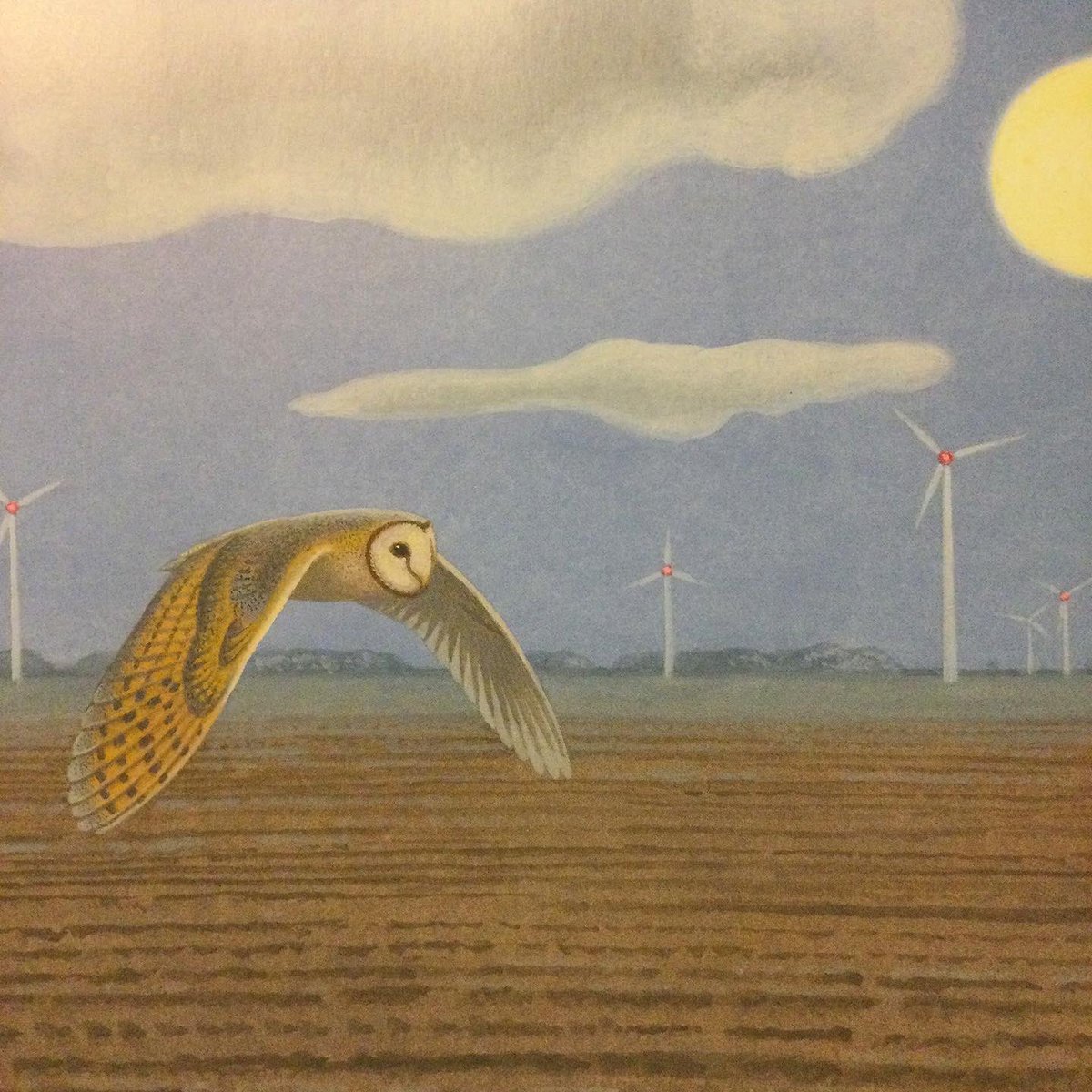 🦉🦉🦉🎁🎁🎁

【冬の贈りもの💝】

鳥の一年シリーズ
『メンフクロウ』

ハートの形💛に似たユーモラスなお顔のメンフクロウ。
鳥の一年シリーズ『メンフクロウ』は、ひと組のつがいが巣を構えて雛を育て、その巣立った若鳥が自分の巣を構えるまでを描いた絵本です。

#鳥の一年シリーズメンフクロウ