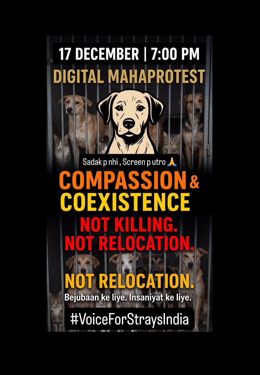 therealdogmani's tweet photo. Aaj sirf ungli scroll nahi karegi,
zameer bolega.

Jo bol nahi sakte,
unke liye hum bolenge.

🕯️🐾 #VoiceForStraysIndia https://t.co/IWYUpFoqZI