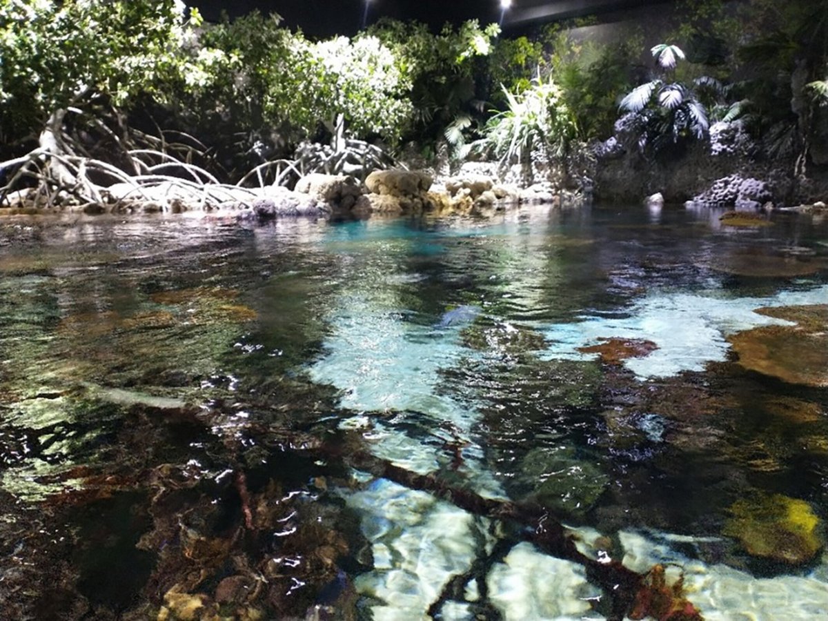 RGS-IBG Higher Ed tweet media