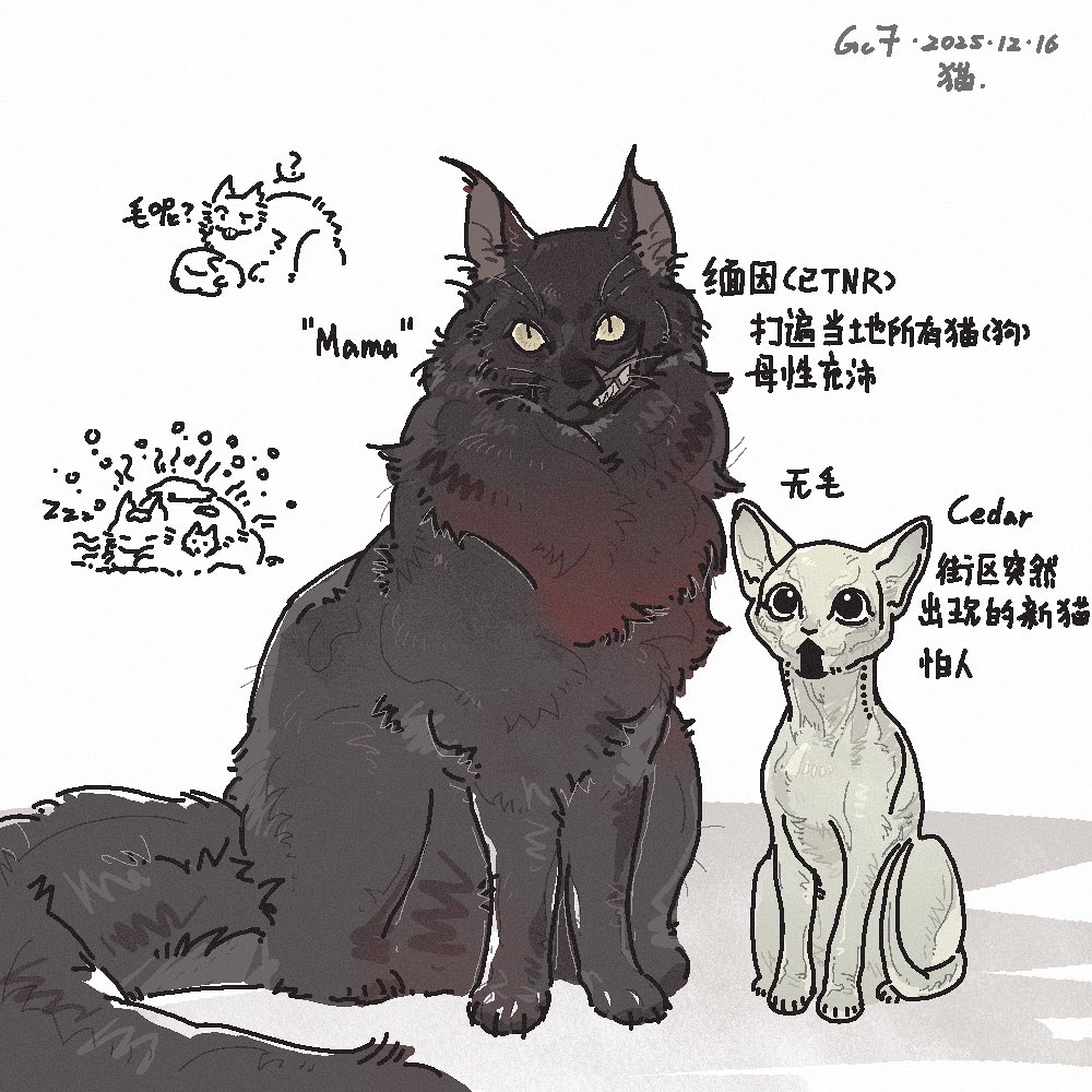 Pppppppppp0825's tweet photo. 猫 https://t.co/nJNKrQEvbd