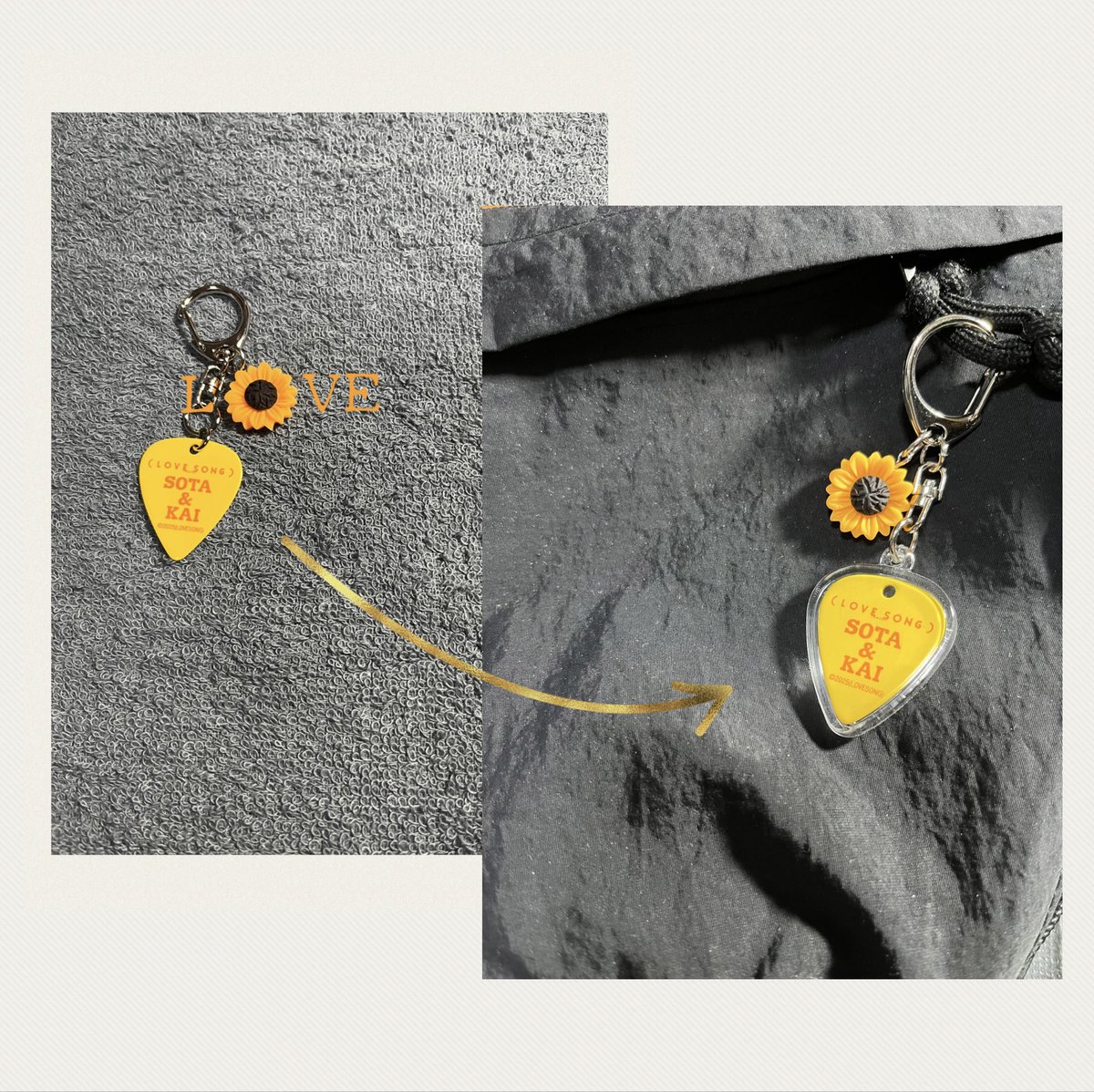 傷がつかないようにピックケースに 入れて見たよ😊 #LOVESONG #ピック