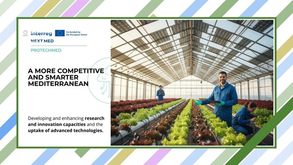 PROTECHMED57691's tweet photo. 🌿PROTECHMED: Call for Best practices for Sustainable Protected Horticulture in the Mediterranean is now open!   

Join 👉 https://t.co/tuiB1FHpQT

@interregnextmed #PROTECHMED #Interreg #Greenhouse #NEXTMED https://t.co/fD2Lf8vrk5