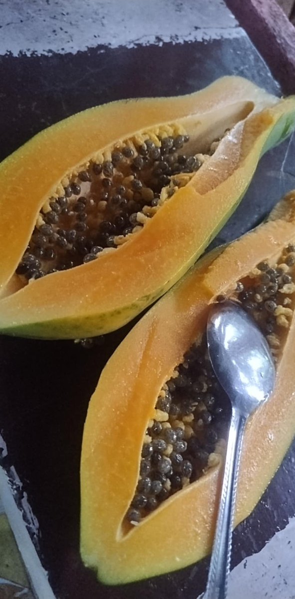 _SilverHawk's tweet image. This year I have been selling my belongings to pay off all my debt and bills. Soon as I can bank enough for plane ticket, visa, and a little extra ill be moving to my home there. I'd like to get some cash together to send there for Christmas. If anyone like to tip or donate ty