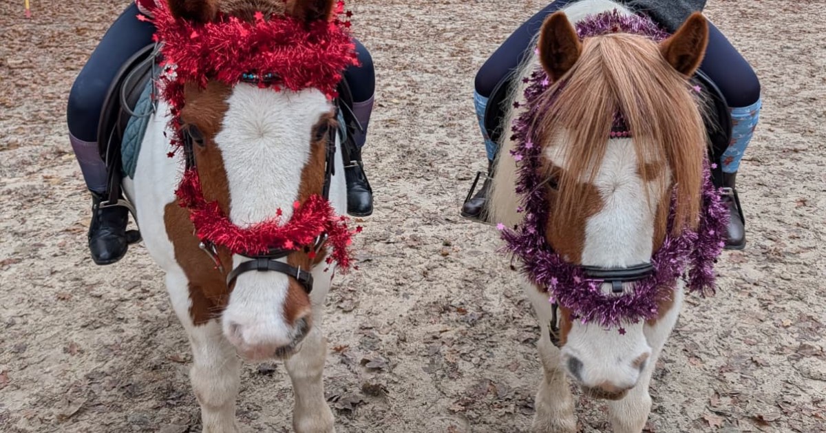 King Edward VI Preparatory School tweet media