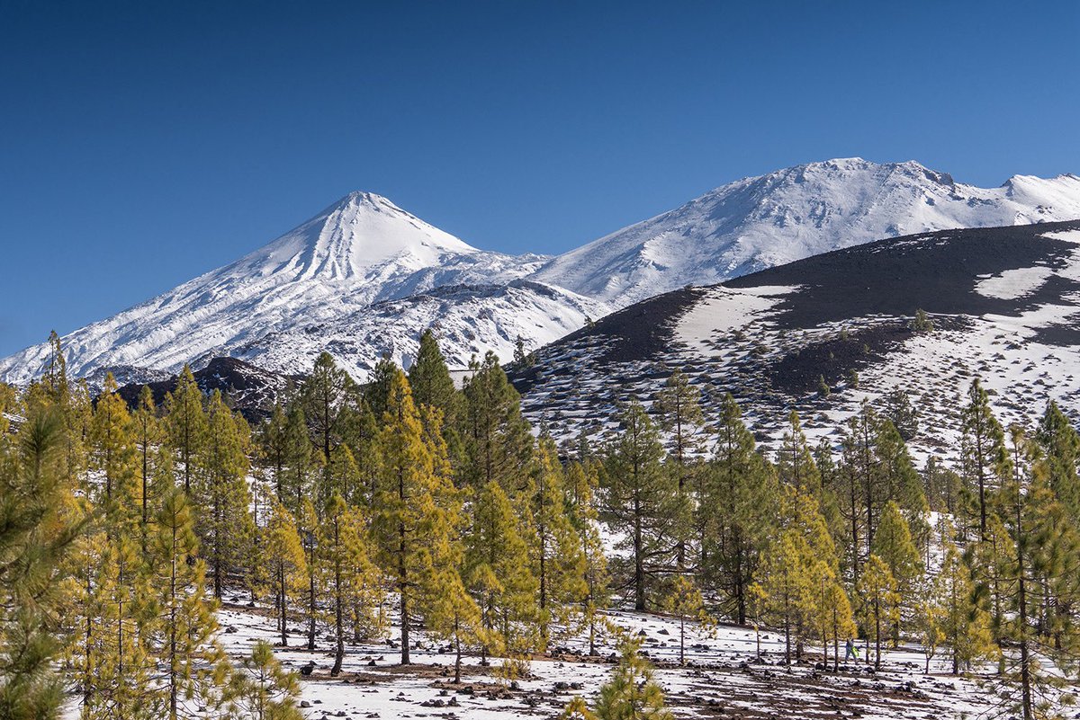 Imanol Zuaznabar tweet media