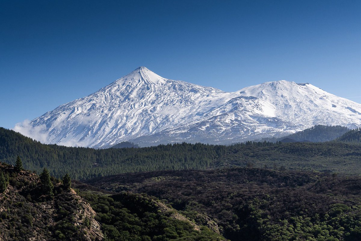 Imanol Zuaznabar tweet media