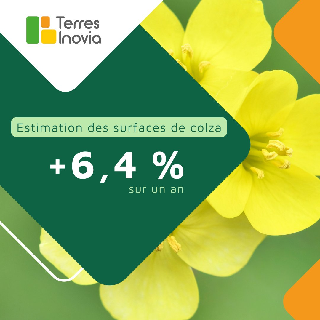 [COLZA]

Selon le bulletin Agreste, la sole de colza d’hiver en 2026 est estimée à 1,34 Mha, retrouvant son niveau de 2023. +6,4 % sur un an et jusqu’à 13 % en Bourgogne-Franche-Comté, mais plus modérément dans les régions , Centre-Val de Loire (+ 3,2 %) et Grand Est (+ 2,0 %).