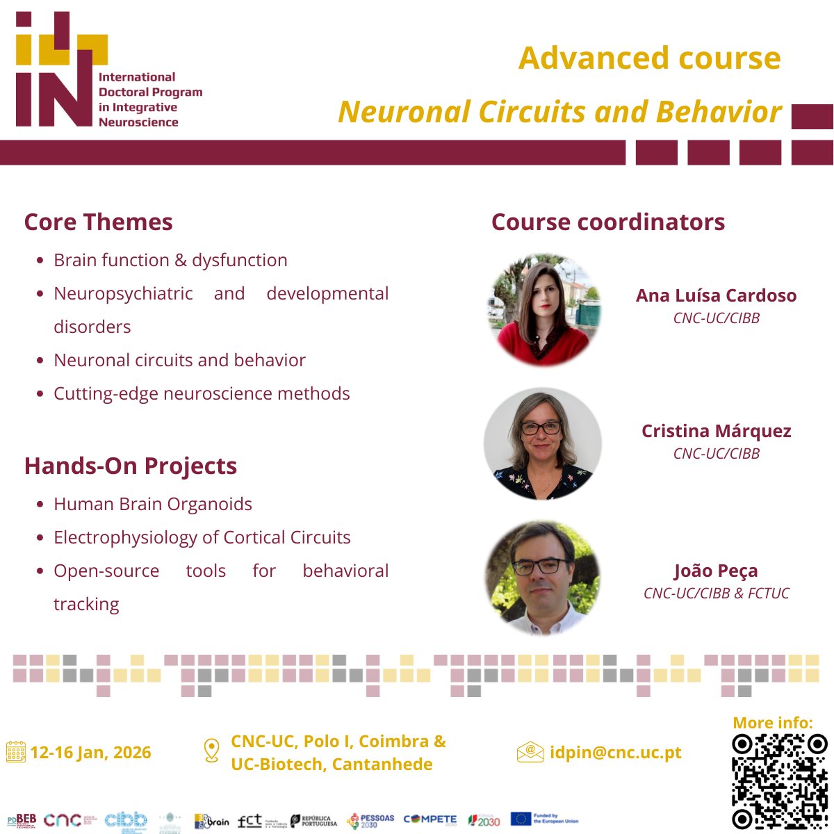 MarquezLab - DYNABrain tweet media