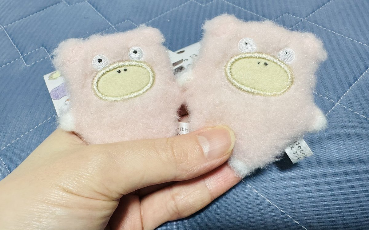 すたんちゃん◎クレノア (@BiribiriStockin) / Posts / X